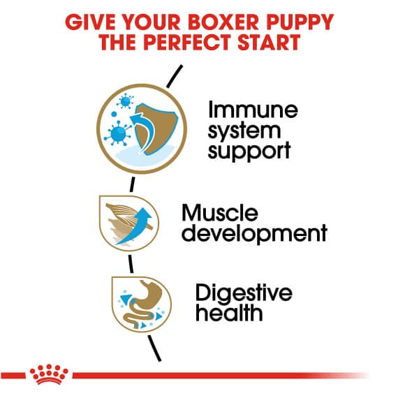 Thức Ăn Chó Boxer Con - Royal Canin Boxer Puppy Dry Dog Food 3