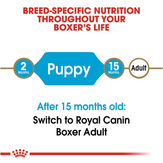 Thức Ăn Chó Boxer Con - Royal Canin Boxer Puppy Dry Dog Food 4