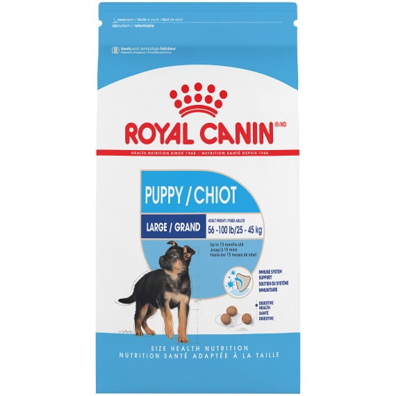 Thức Ăn Chó Con Cỡ Lớn - Royal Canin Large Puppy Dry 1