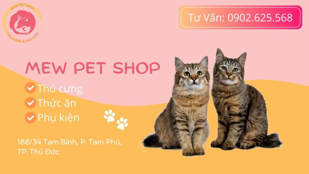 Mew Pet Shop Cửa Hàng Thú Cưng & Phụ Kiện TOP 1 VN